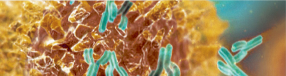 Biosimilars Development