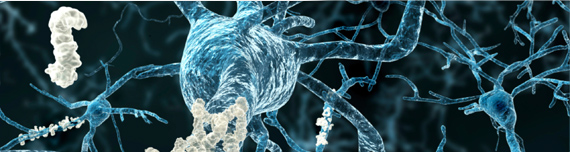 Cell Therapy expertise